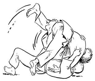 33